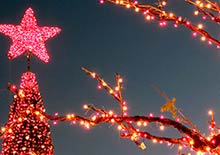 Festival of Lights - Limo Experience