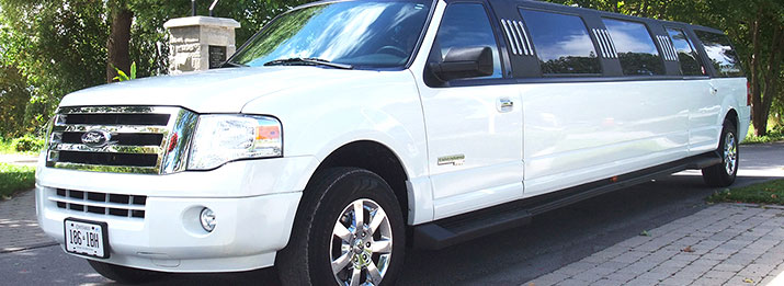 The Spotlight Limousine Fleet